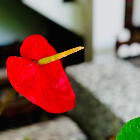 Appartamento Siri'S Residency Habaraduwa Central Esterno foto