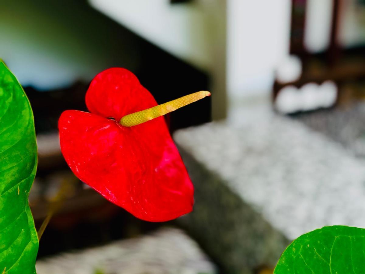 Appartamento Siri'S Residency Habaraduwa Central Esterno foto