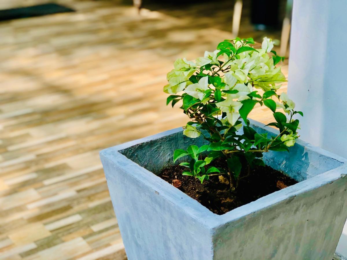 Appartamento Siri'S Residency Habaraduwa Central Esterno foto